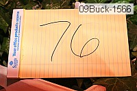 09buck-1566 thumbnail