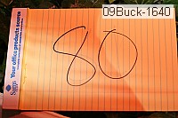 09buck-1640 thumbnail