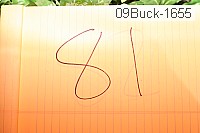 09buck-1655 thumbnail