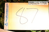 09buck-1766 thumbnail