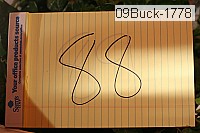 09buck-1778 thumbnail