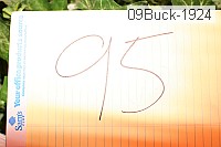 09buck-1924 thumbnail