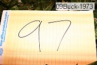 09buck-1973 thumbnail