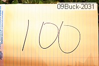 09buck-2031 thumbnail