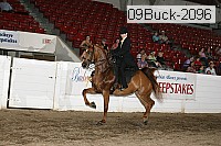 09buck-2096 thumbnail