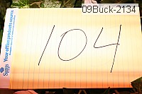 09buck-2134 thumbnail