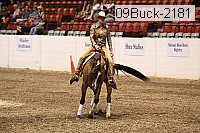 09buck-2181 thumbnail