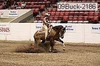 09buck-2186 thumbnail