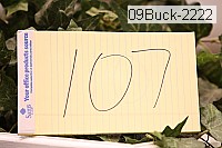 09buck-2222 thumbnail