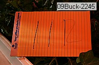 09buck-2245 thumbnail