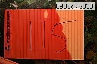 09buck-2330 thumbnail