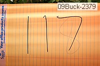 09buck-2379 thumbnail