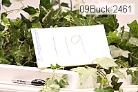 09buck-2461 thumbnail