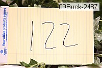 09buck-2487 thumbnail