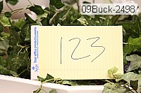 09buck-2498 thumbnail