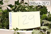09buck-2572 thumbnail