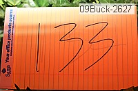 09buck-2627 thumbnail