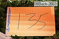 09buck-2663 thumbnail