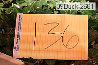 09buck-2681 thumbnail