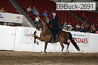 09buck-2691 thumbnail