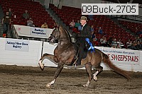 09buck-2705 thumbnail