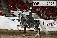 09buck-2725 thumbnail