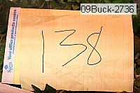 09buck-2736 thumbnail