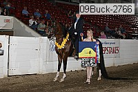 09buck-2766 thumbnail