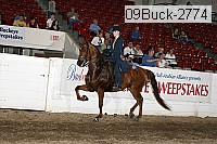 09buck-2774 thumbnail
