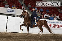 09buck-2776 thumbnail
