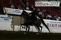 09buck-2777 thumbnail