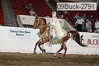 09buck-2791 thumbnail