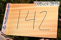 09buck-2819 thumbnail