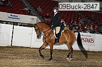 09buck-2847 thumbnail
