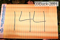 09buck-2891 thumbnail