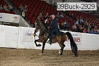 09buck-2929 thumbnail