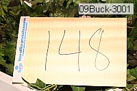 09buck-3001 thumbnail