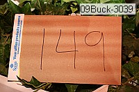 09buck-3039 thumbnail