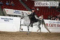 09buck-3323 thumbnail