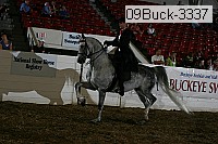 09buck-3337 thumbnail