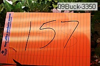 09buck-3350 thumbnail