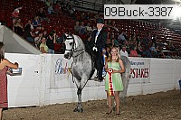 09buck-3387 thumbnail
