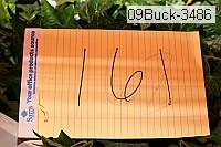 09buck-3486 thumbnail