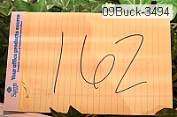 09buck-3494 thumbnail