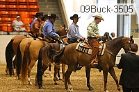 09buck-3505 thumbnail