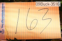 09buck-3516 thumbnail