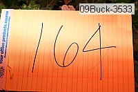 09buck-3533 thumbnail