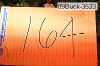 09buck-3533 thumbnail