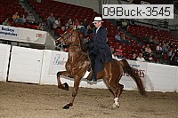 09buck-3545 thumbnail