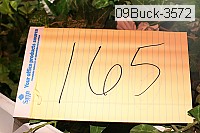 09buck-3572 thumbnail